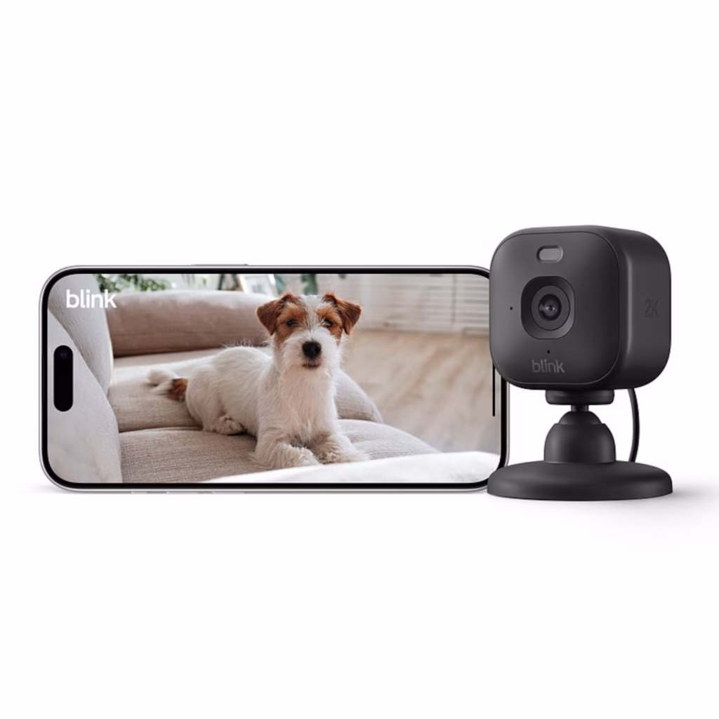 Amazon Blink