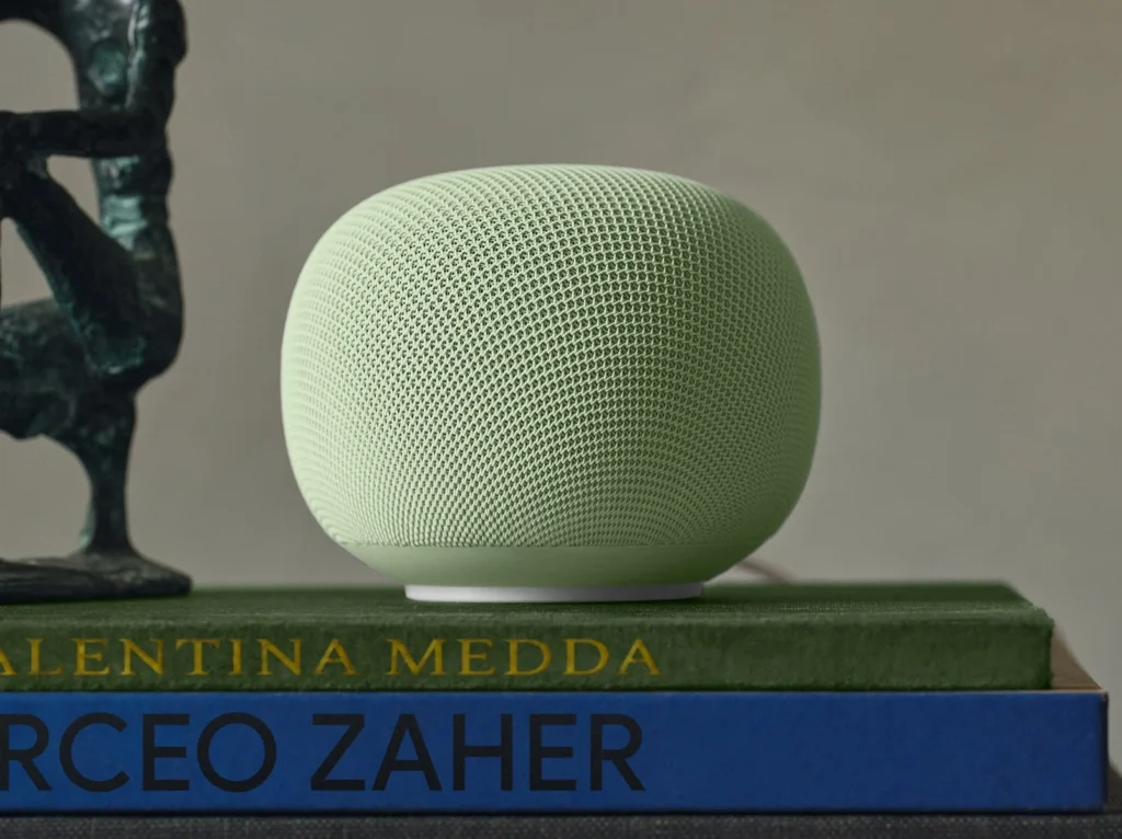 Google Home Display